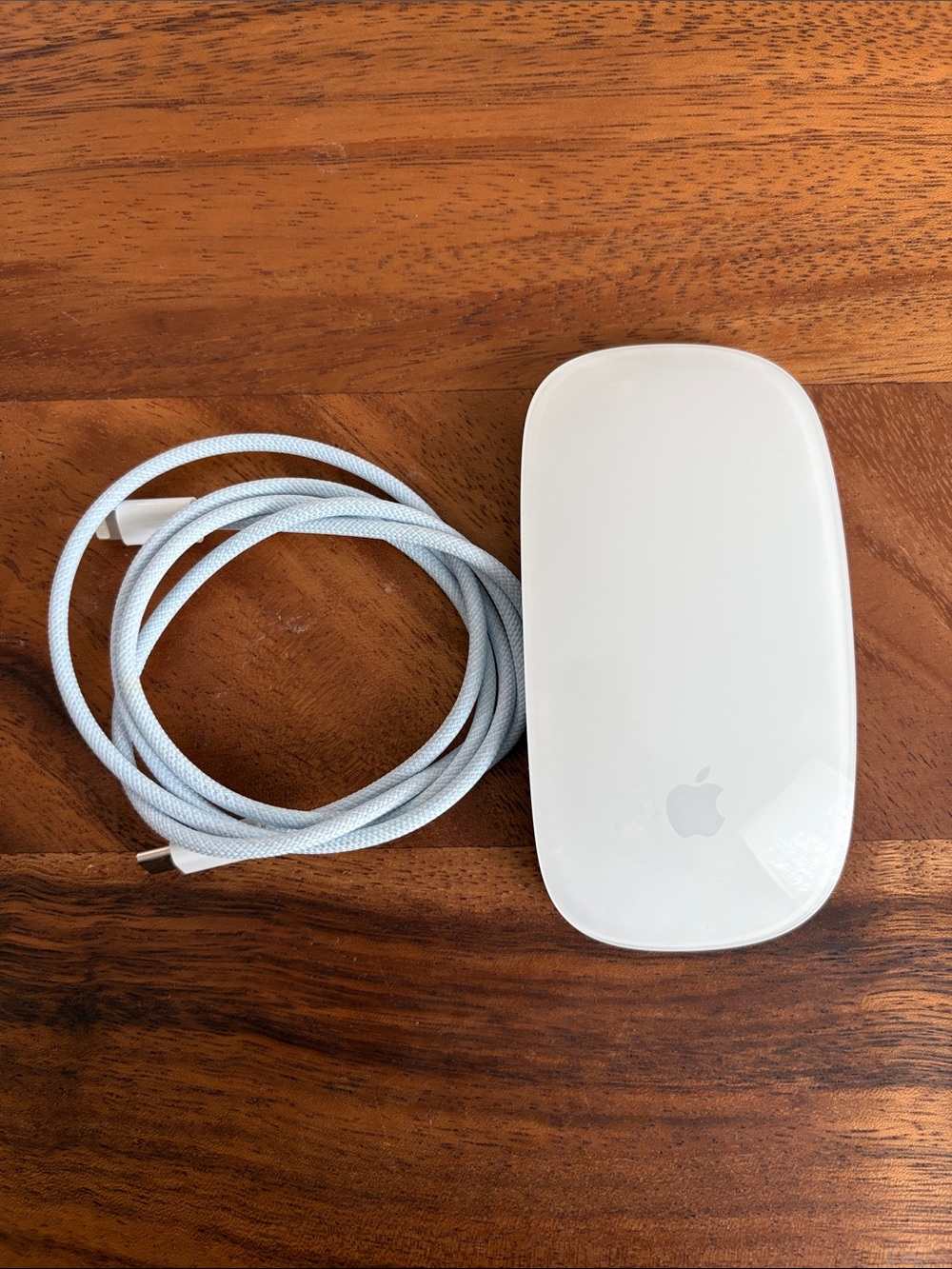 Apple Blue Magic Mouse 2 with Light Blue Apple Original Braided Charging Cable